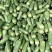 货源充足