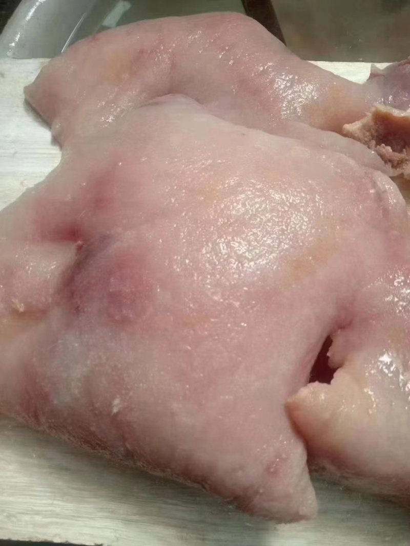 带肉牛头皮半熟刀削清水煮无化学厂家直销