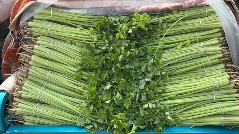 西芹与洋葱食材对比图