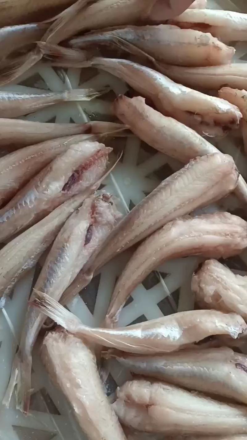 红娘子鱼，产地直供，充足货源，保质保量