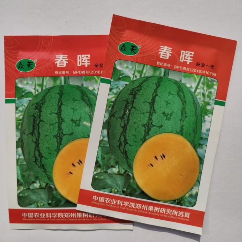 满月礼品西瓜品种花皮红瓤品种种子早熟品种