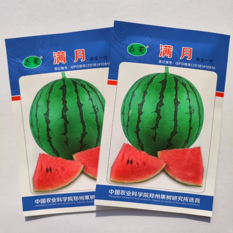 满月礼品西瓜品种花皮红瓤品种种子早熟品种