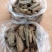 芋干，基地货源，价格优惠，可以视频看货，欢迎来电咨询