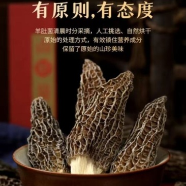 大别山区产地直销优选羊肚菌干货批发及零售