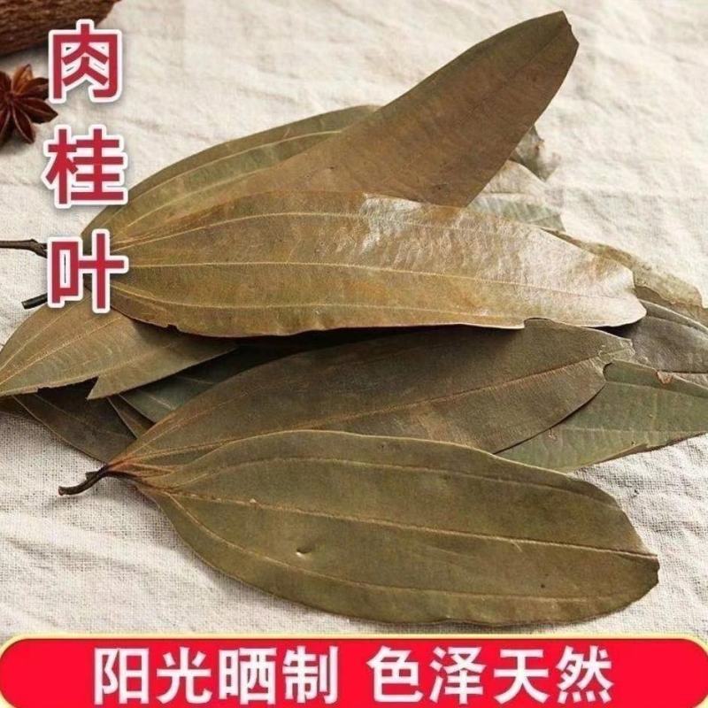 广西桂皮叶粉9.9包邮两斤