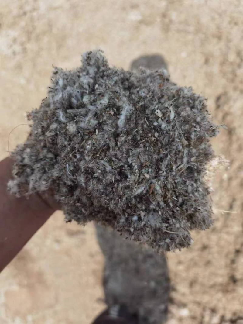 棉渣食用菌基底厂家货源量大从优价格优惠欢迎电联采购
