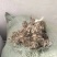 棉渣食用菌基底厂家货源量大从优价格优惠欢迎电联采购