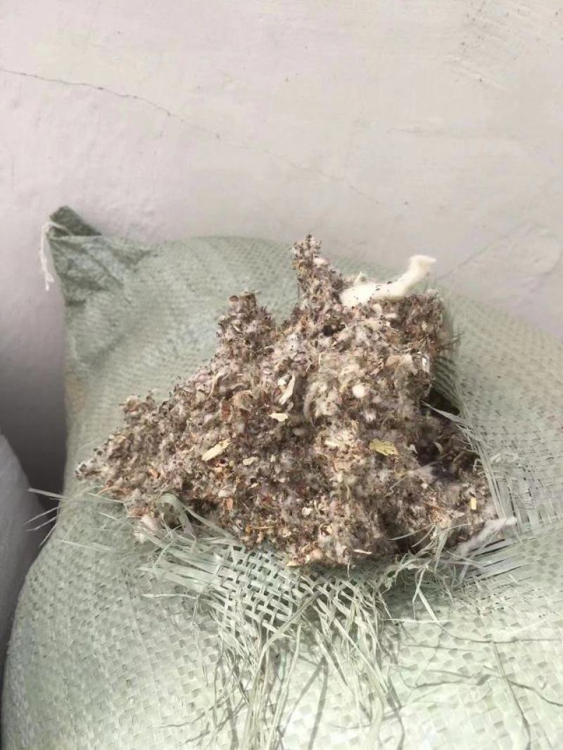 棉渣食用菌基底厂家货源量大从优价格优惠欢迎电联采购