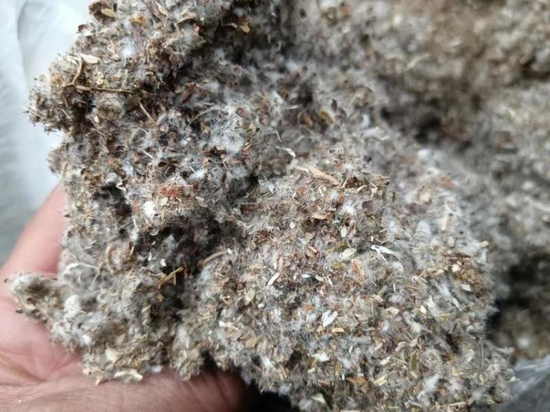 棉渣食用菌基底厂家货源量大从优价格优惠欢迎电联采购