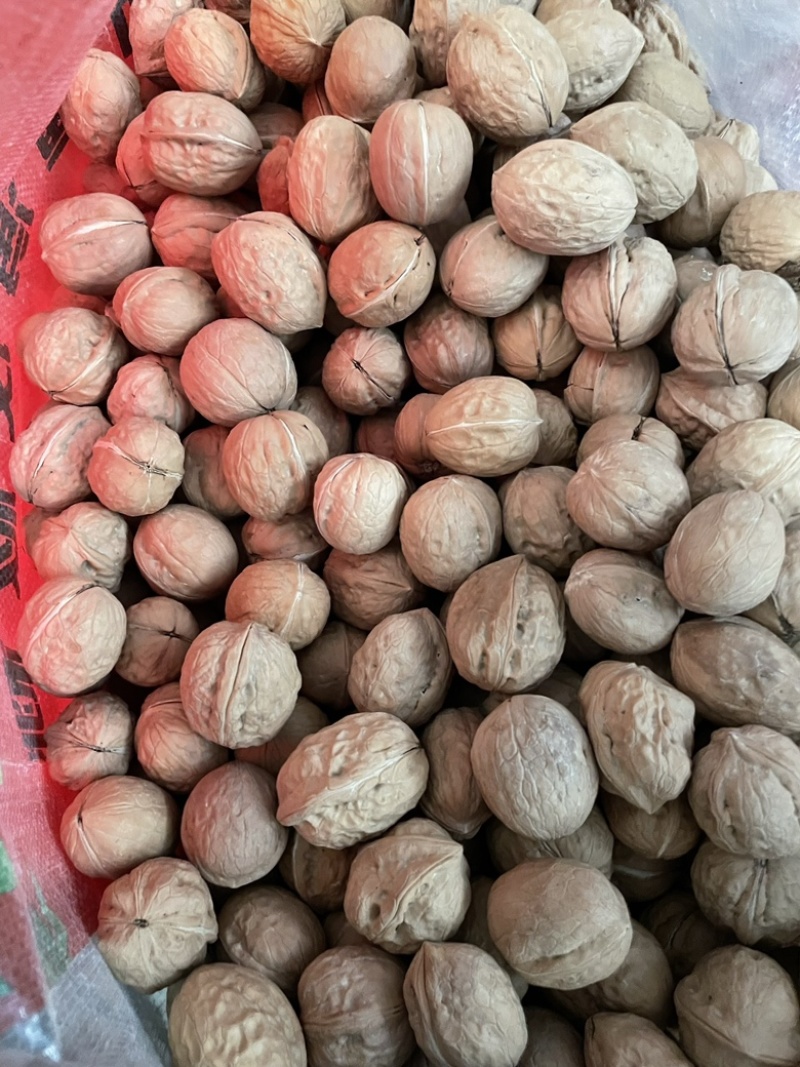 新疆核桃薄壳散装新货原味薄皮核桃地摊销售