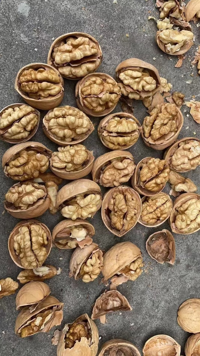 新疆核桃薄壳散装新货原味薄皮核桃地摊销售