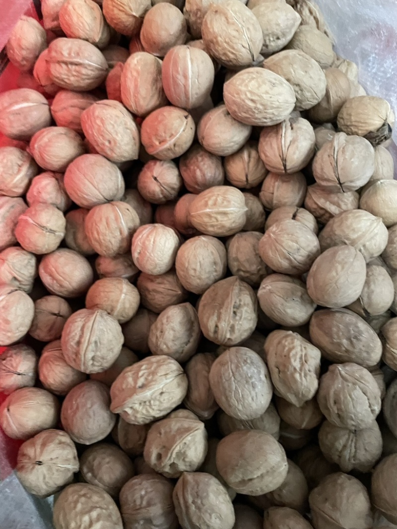 新疆核桃薄壳散装新货原味薄皮核桃地摊销售