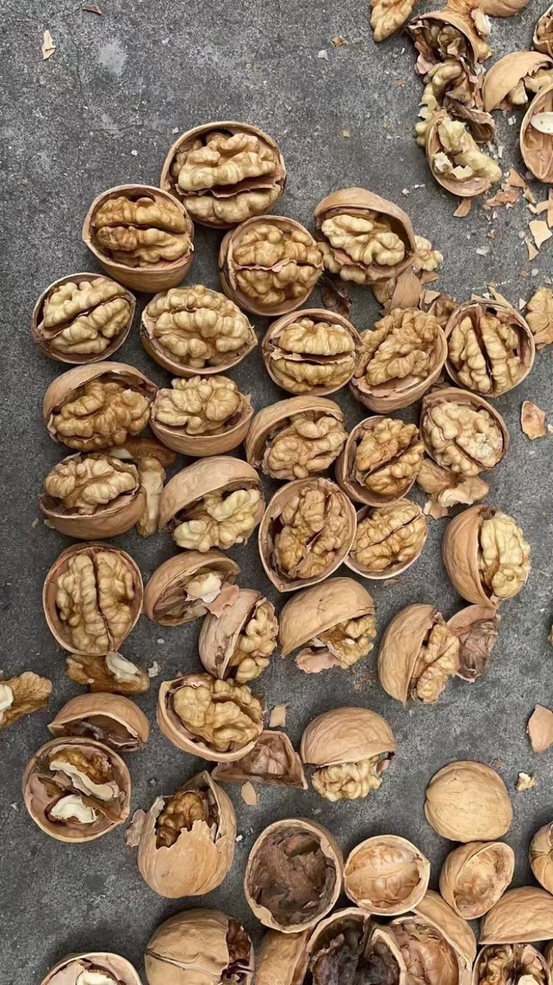 新疆核桃薄壳散装新货原味薄皮核桃地摊销售