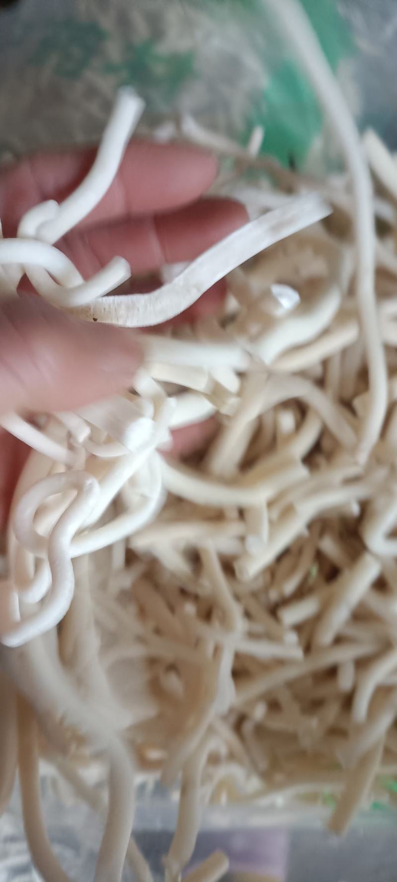 小通草，货干无杂质，无硫，货源充足，量大从优