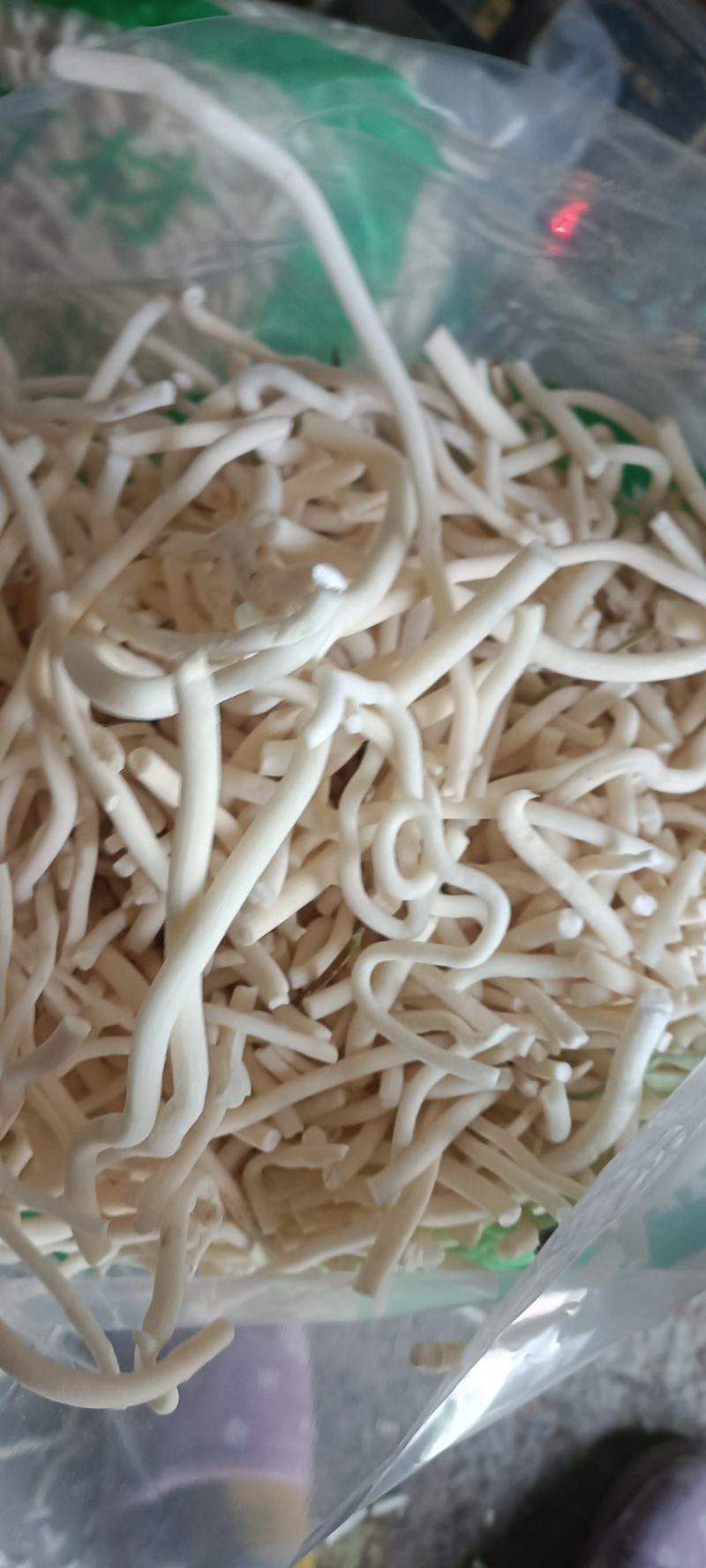 小通草，货干无杂质，无硫，货源充足，量大从优
