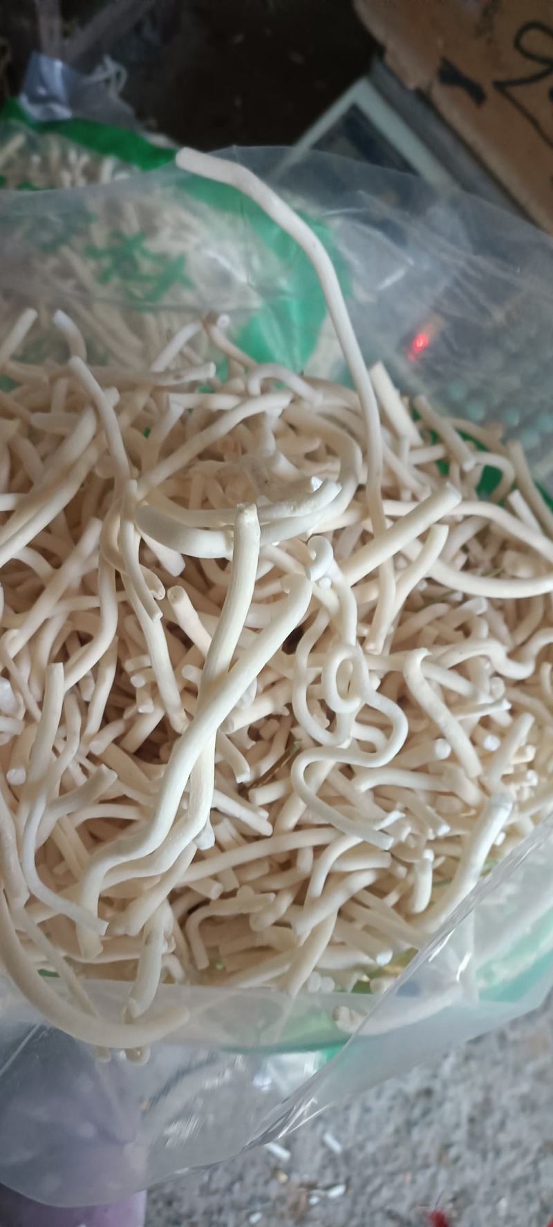 小通草，货干无杂质，无硫，货源充足，量大从优