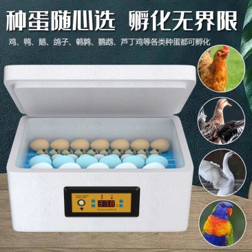 新伟达水床孵化机全自动小型家用型孔雀孵蛋器鸭鹅鸽子小鸡孵