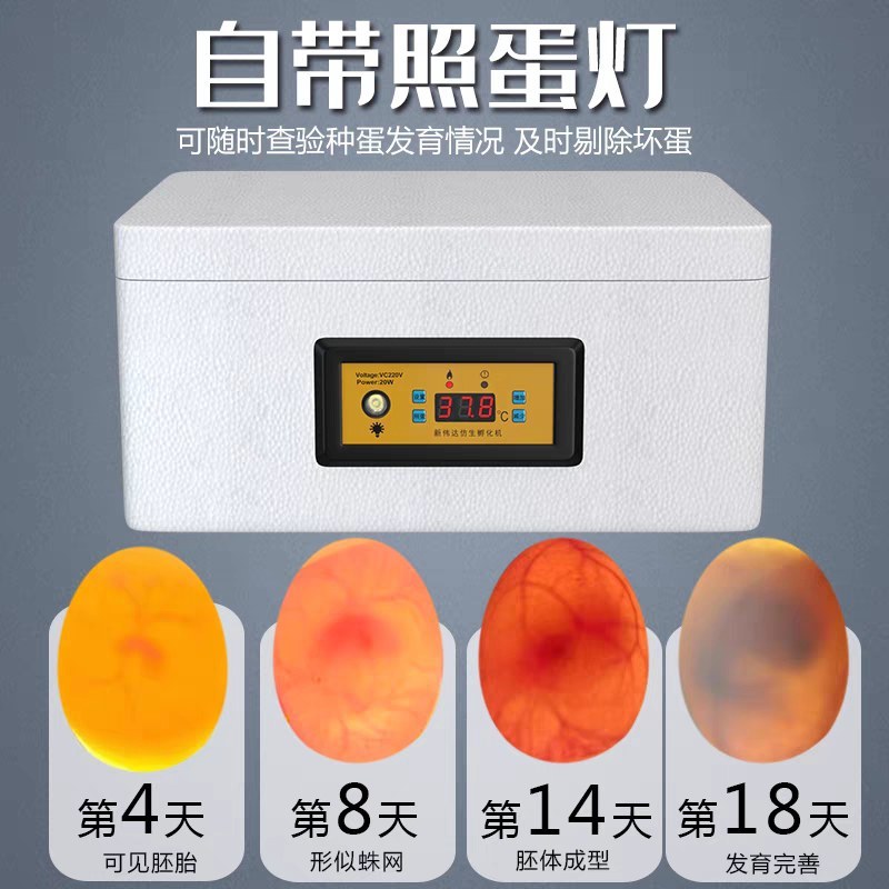 新伟达水床孵化机全自动小型家用型孔雀孵蛋器鸭鹅鸽子小鸡孵
