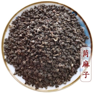 批发现货苘麻子中药材大全