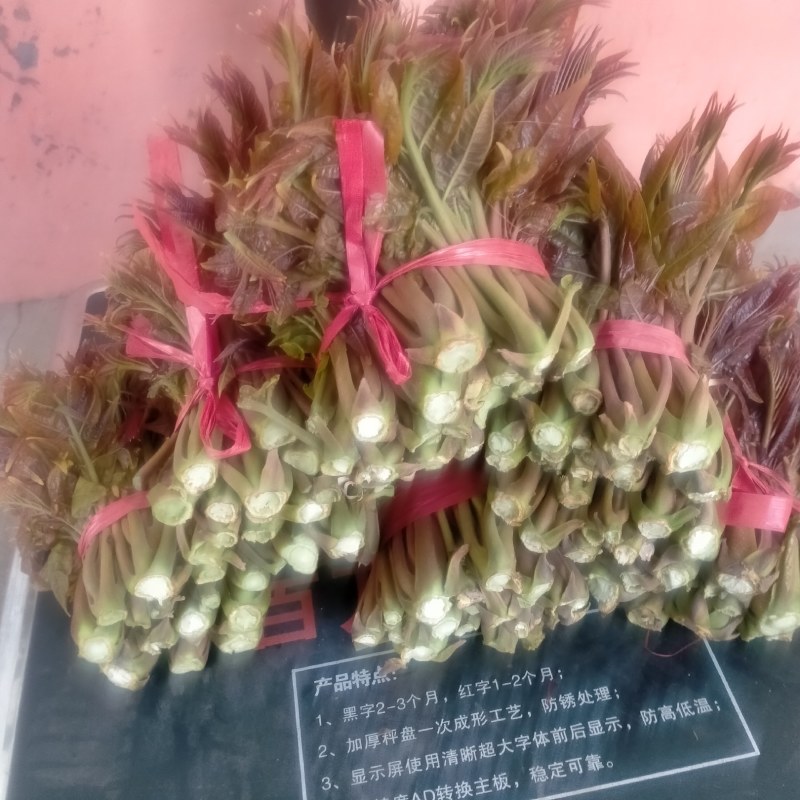 新鲜香椿芽大量上市中，欢迎新老客户前来订购……