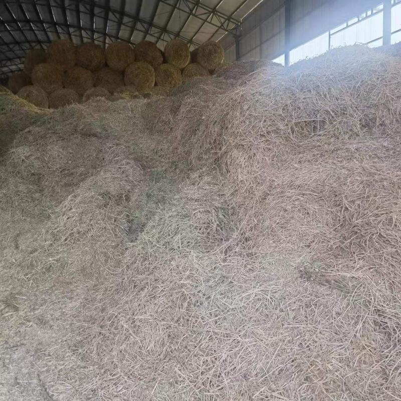 河南小麦秸秆品质保证诚信经营自家生产欢迎联系