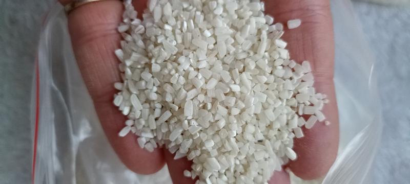 缅甸进口碎米
