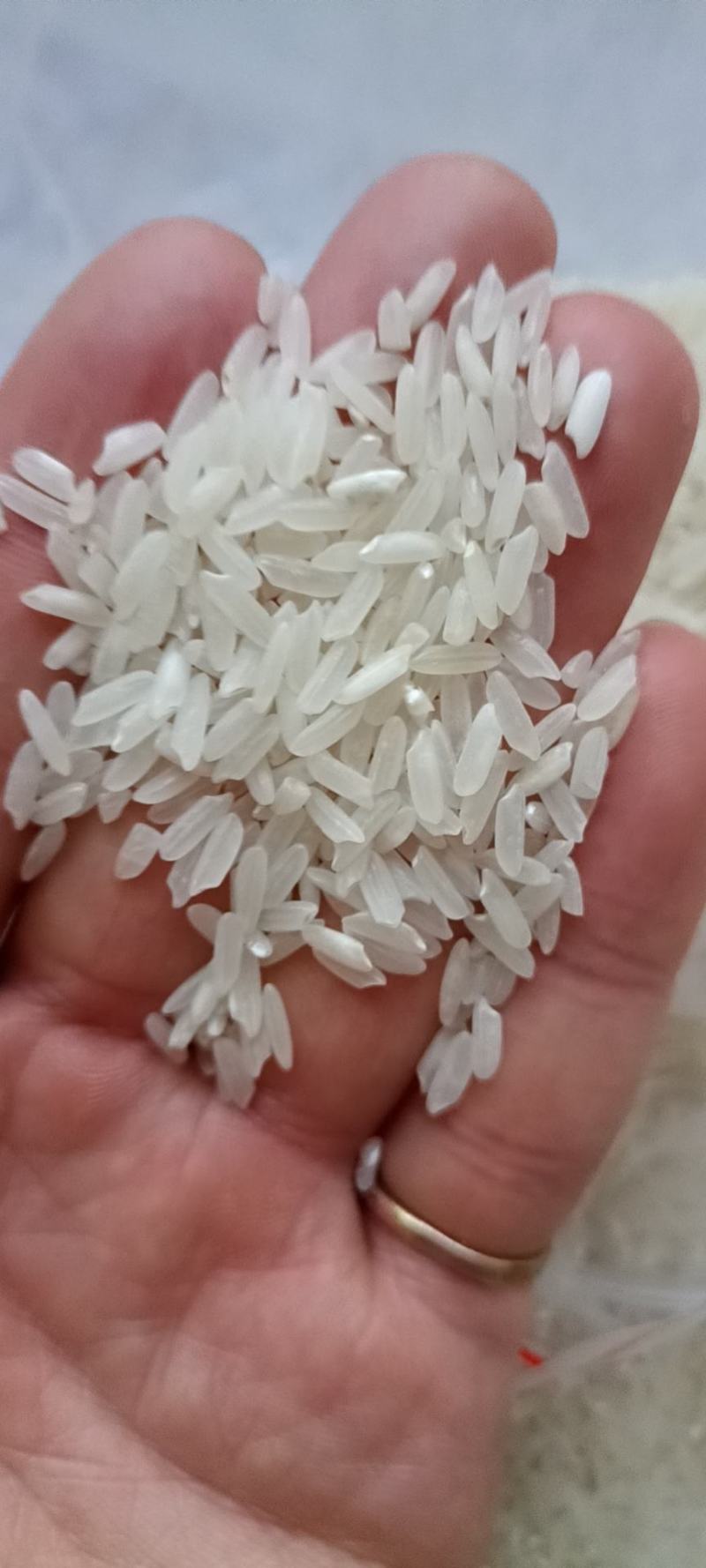 缅甸进口碎米