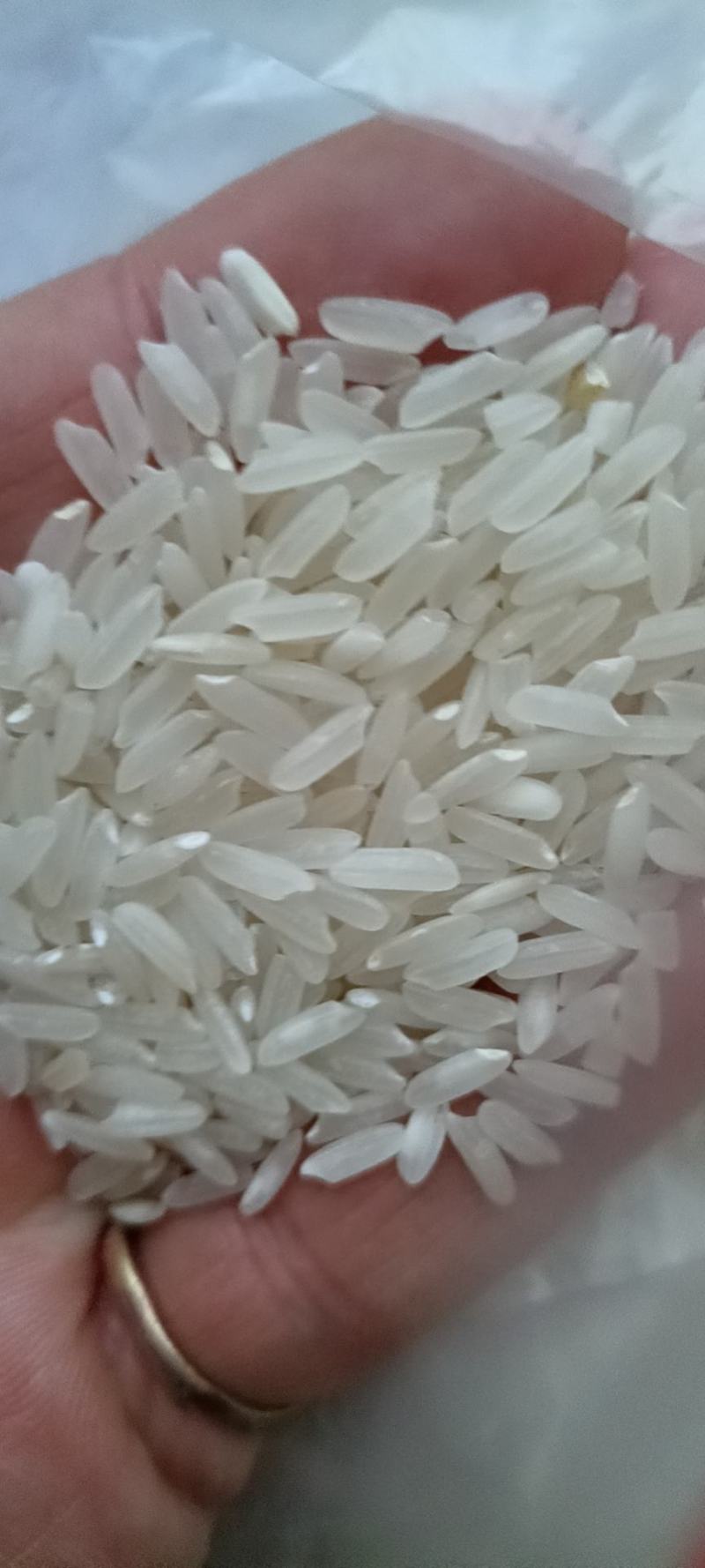 缅甸进口碎米