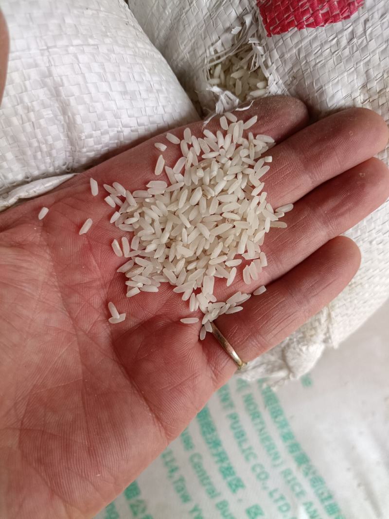 缅甸进口碎米