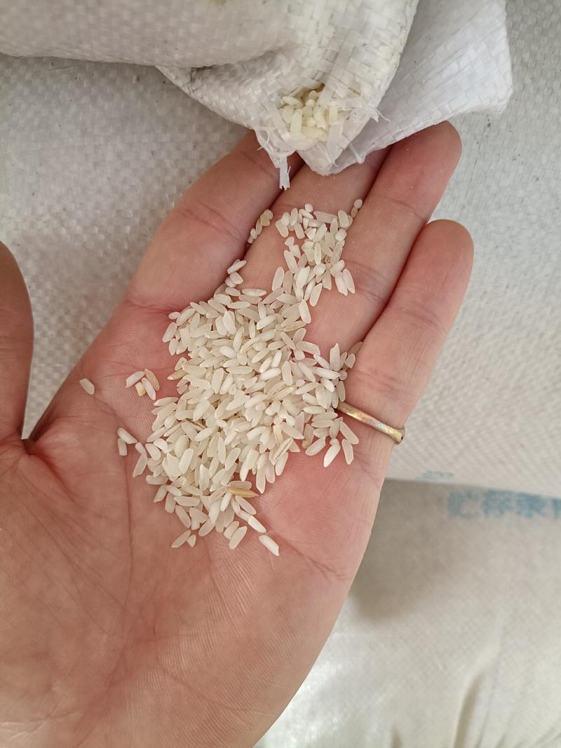 缅甸进口碎米