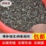 【泥鳅苗】泥鳅苗包成活提供技术跟踪服务量大从优质量保证
