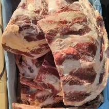 18加肉款牛小排排面大肉多酱骨自助用肉多多