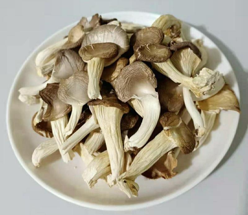 农家秀珍菇姬菇凤尾菇北风菇干货菌菇食用菌火锅煲汤