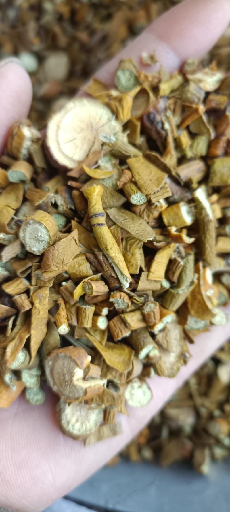 槲寄生，过筛，足干无杂质，货源充足，欢迎选购
