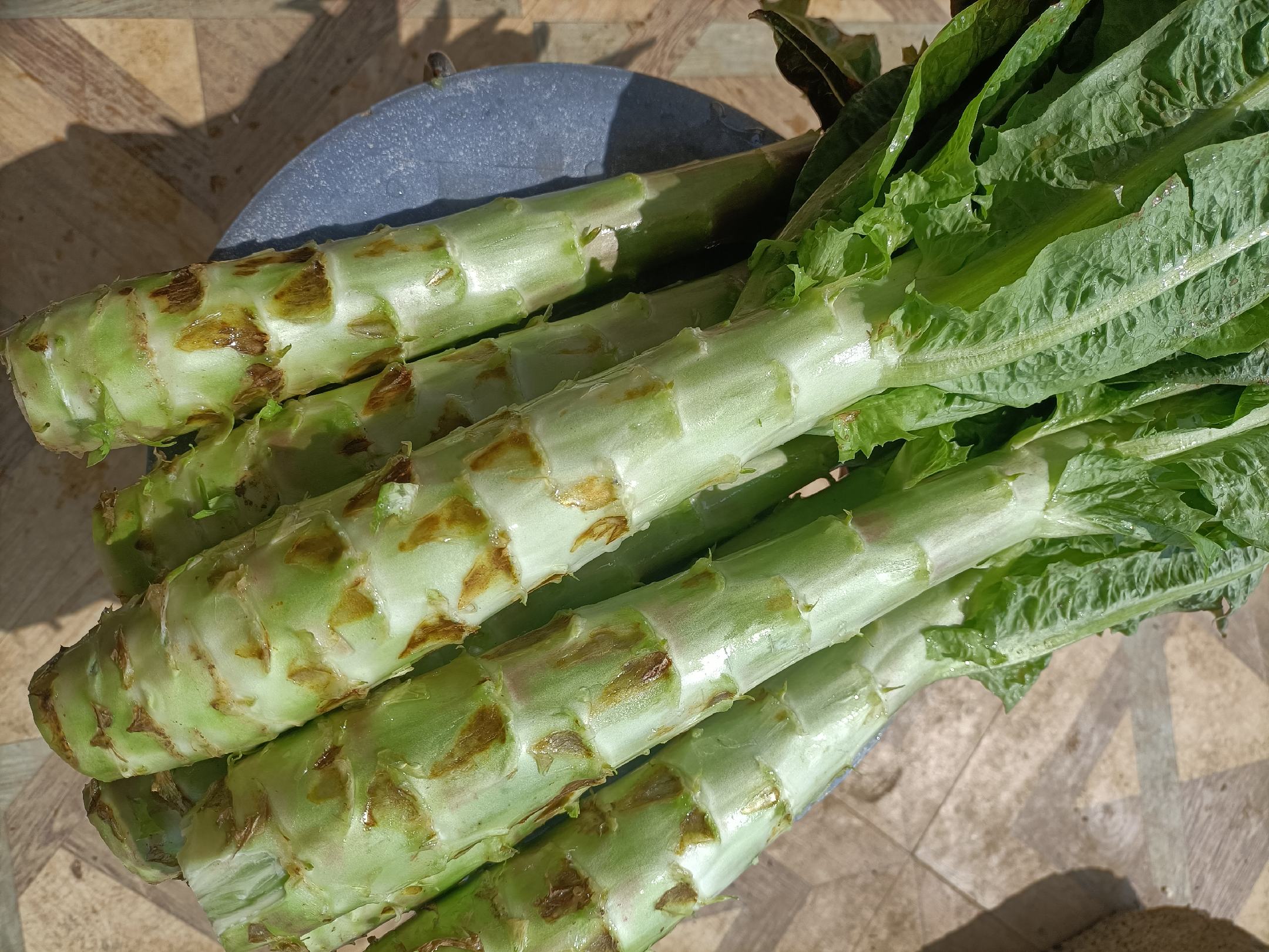 莴苣在餐桌上的美食应用