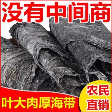 【干海带批发】海带干货散装天然日晒海带丝海白菜火锅食材