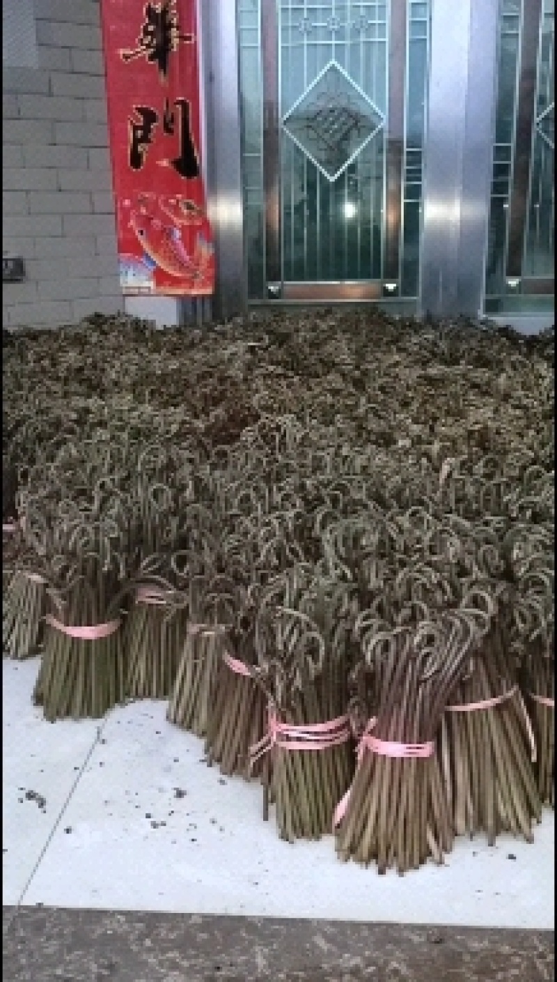 是一种具有较强的抑菌活性物质，味道巴适！！