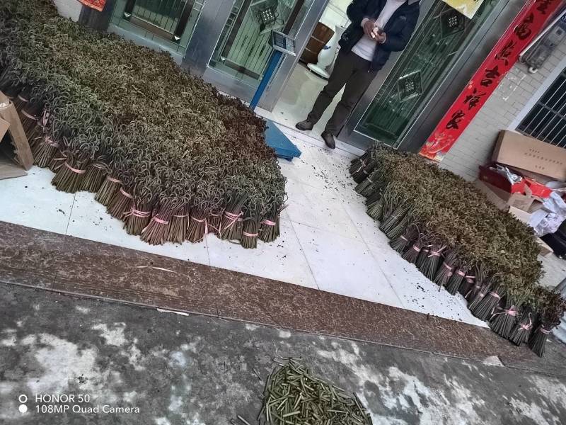 是一种具有较强的抑菌活性物质，味道巴适！！