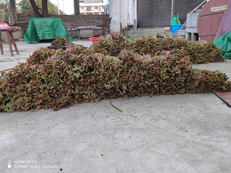 是一种具有较强的抑菌活性物质，味道巴适！！