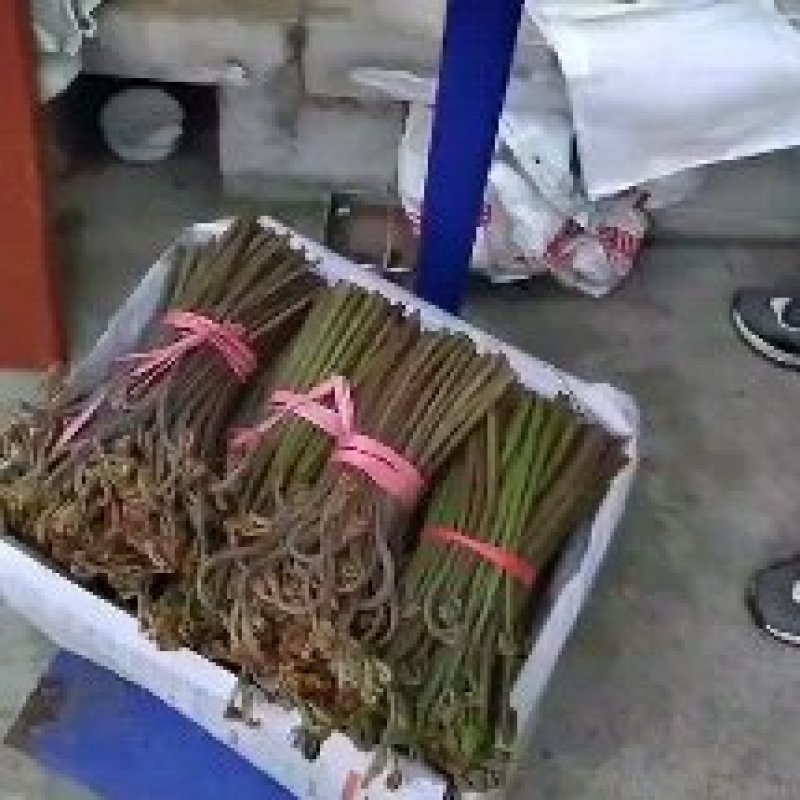 是一种具有较强的抑菌活性物质，味道巴适！！