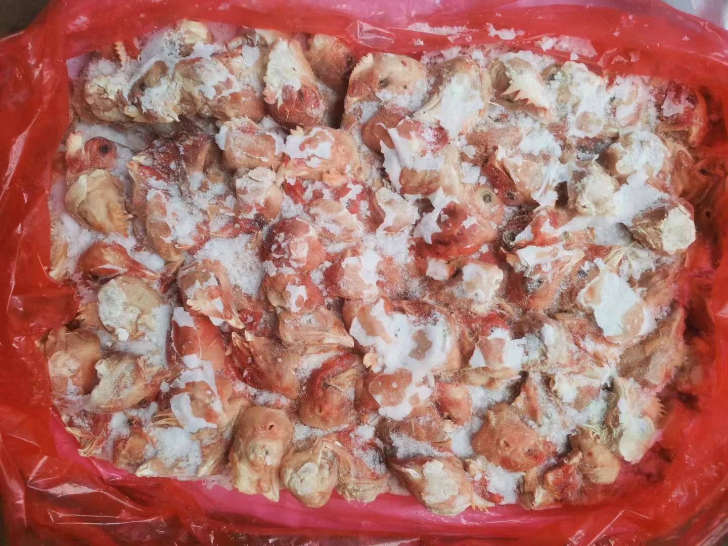 鸡头参冷藏冷冻对比图