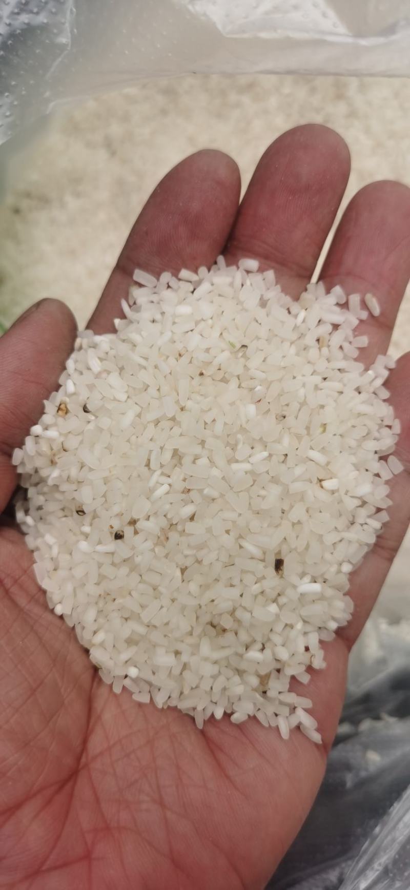 缅甸碎米，进口碎米，饲料碎米，做米线碎米，烤酒碎米