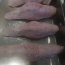 白条鸭头