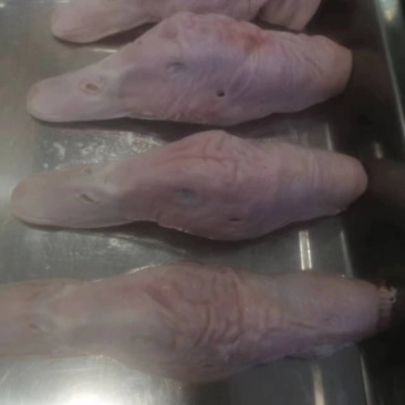 白条鸭头