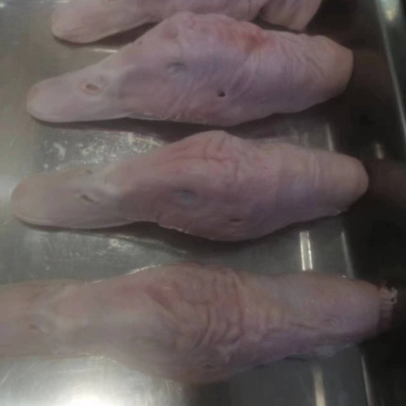 白条鸭头