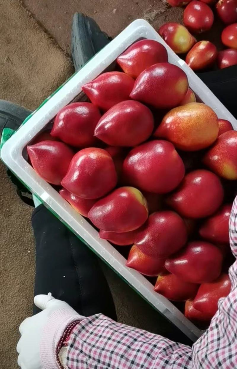 油桃。樱桃现已大量上市价格以市场价为准