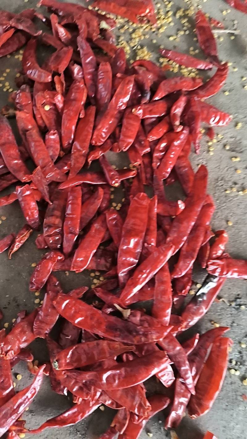 精品干椒云南干辣椒辣椒产区直供货源充足量大从优
