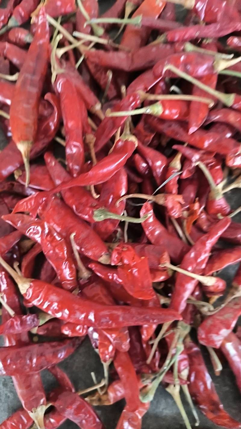 精品干椒云南干辣椒辣椒产区直供货源充足量大从优
