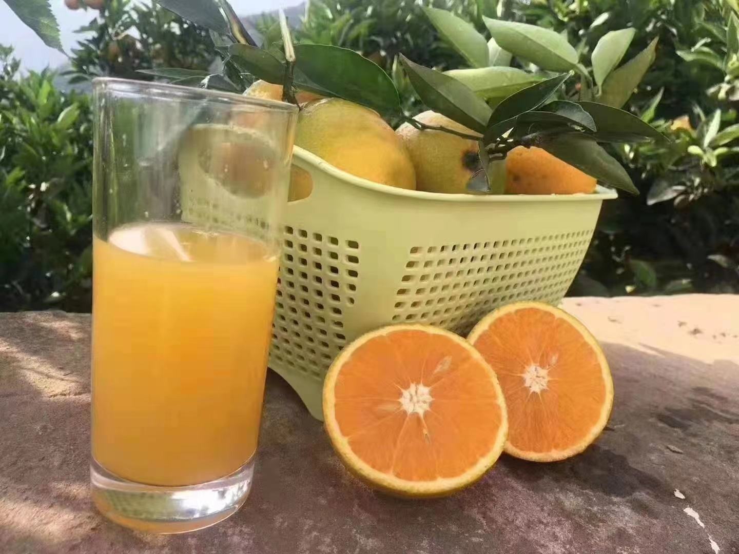 满杯香橙制作完成图