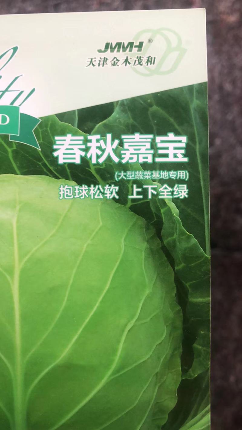 大量出售优质甘蓝苗，甘蓝软而翠，质量好产量高欢迎电询